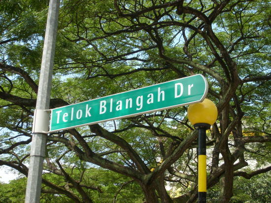Blk 78D Telok Blangah Drive (S)104078 #79462